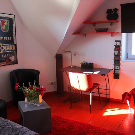Studio De La Petite Venise Apartment Colmar Ngoại thất bức ảnh